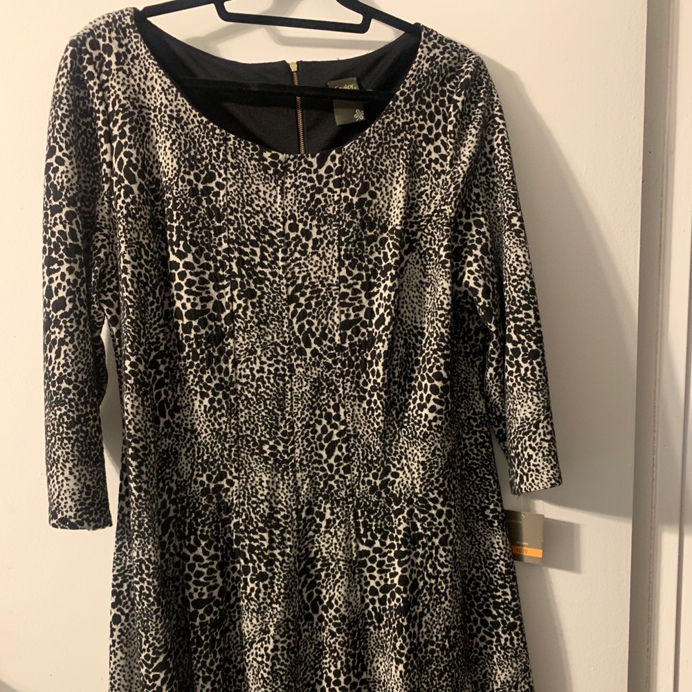 NWT Taylor dress Elbow length sleeves and an A-line, small leopard print.